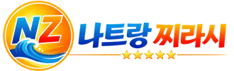 Logo: orange circular badge with blue 'NZ' and wave, followed by gradient orange text.